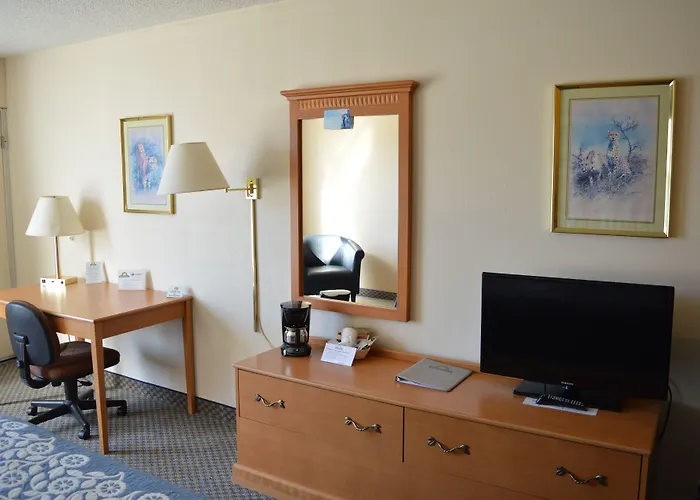 Hotel Hot Springs &